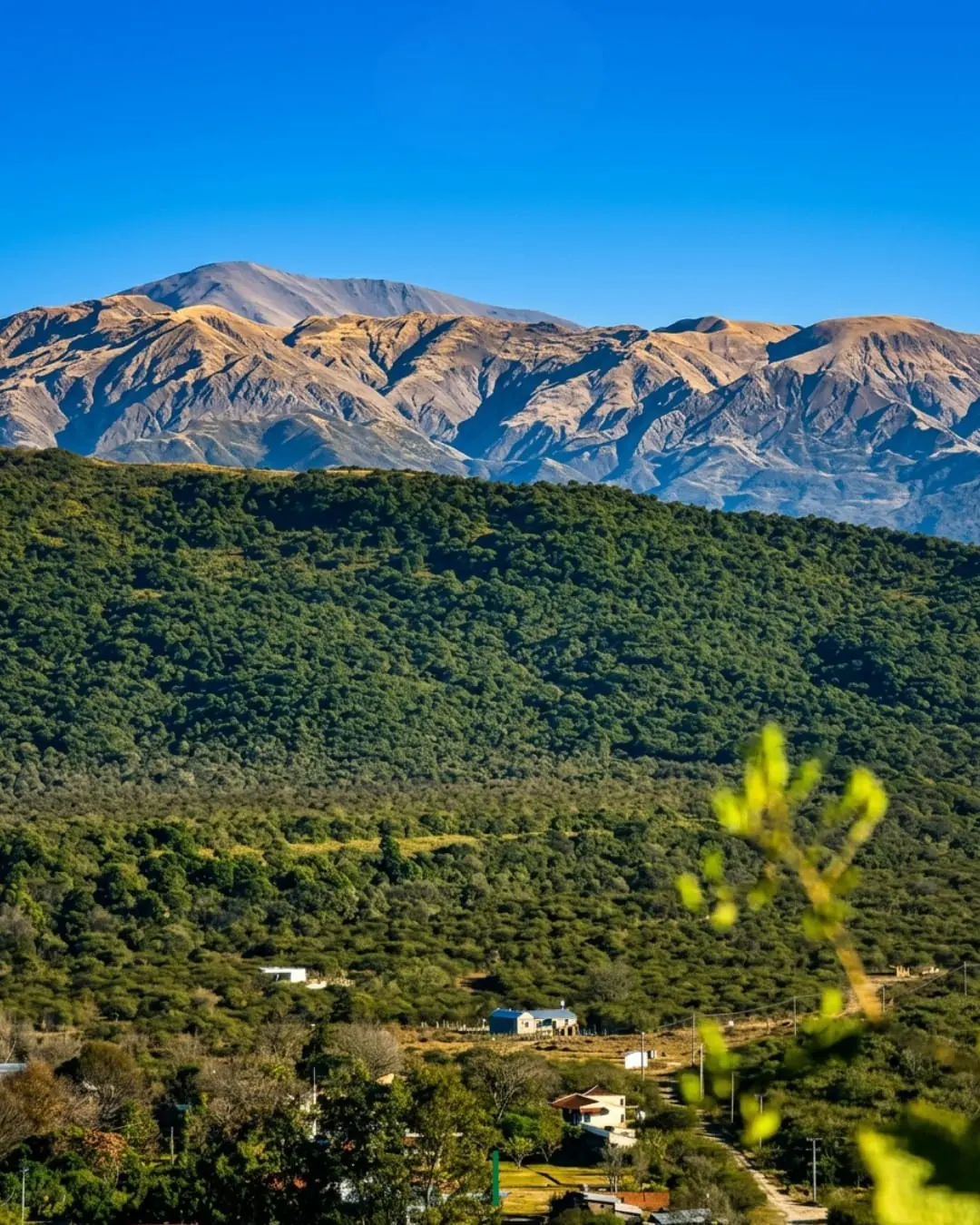 Cerros verdes y montañas de La Caldera, Salta